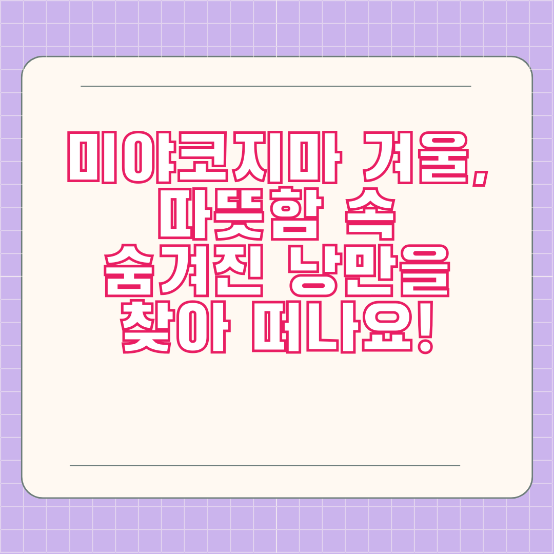 미야코지마 겨울, 따뜻함 속 숨겨진 낭만을 찾아 떠나요!