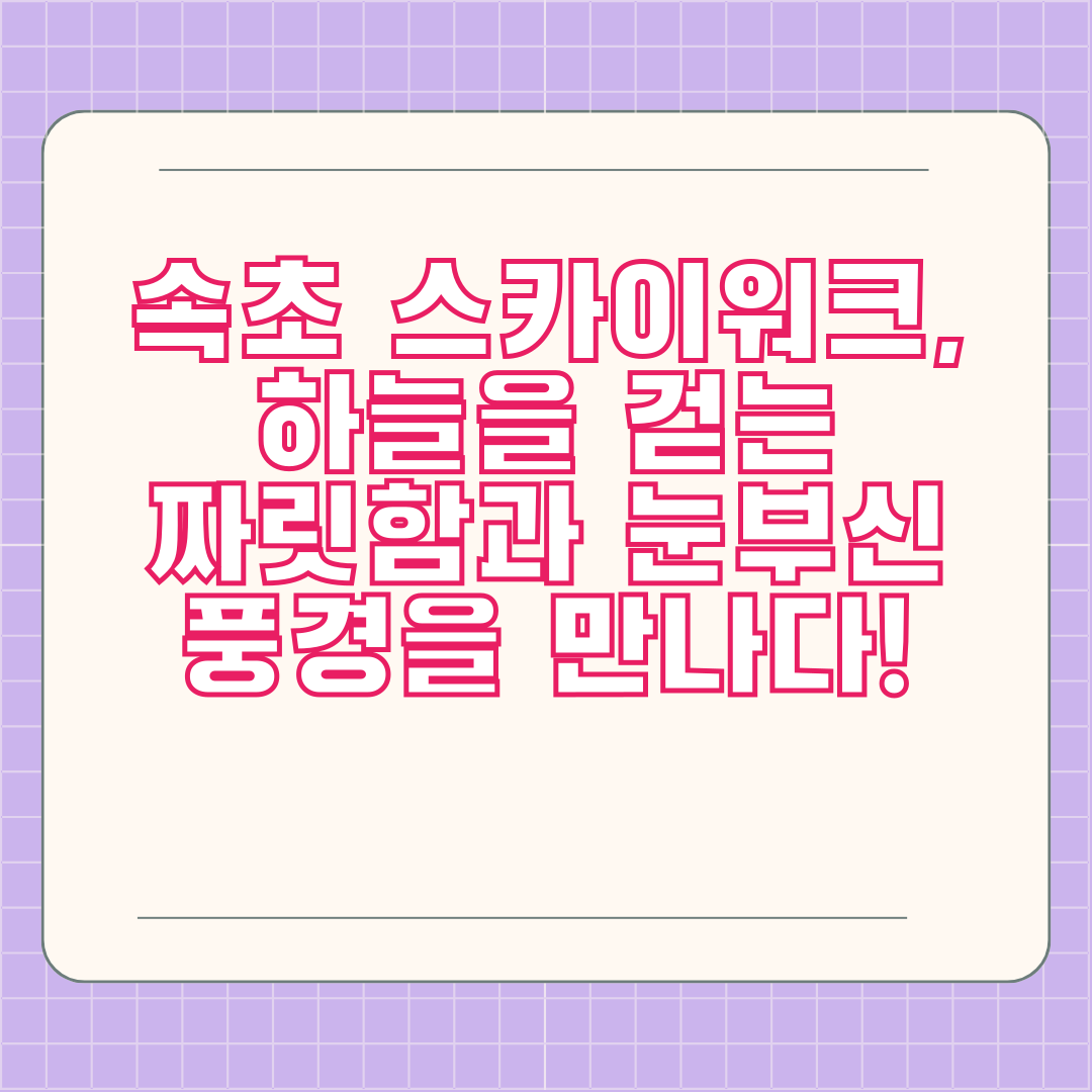 속초 스카이워크, 하늘을 걷는 짜릿함과 눈부신 풍경을 만나다!