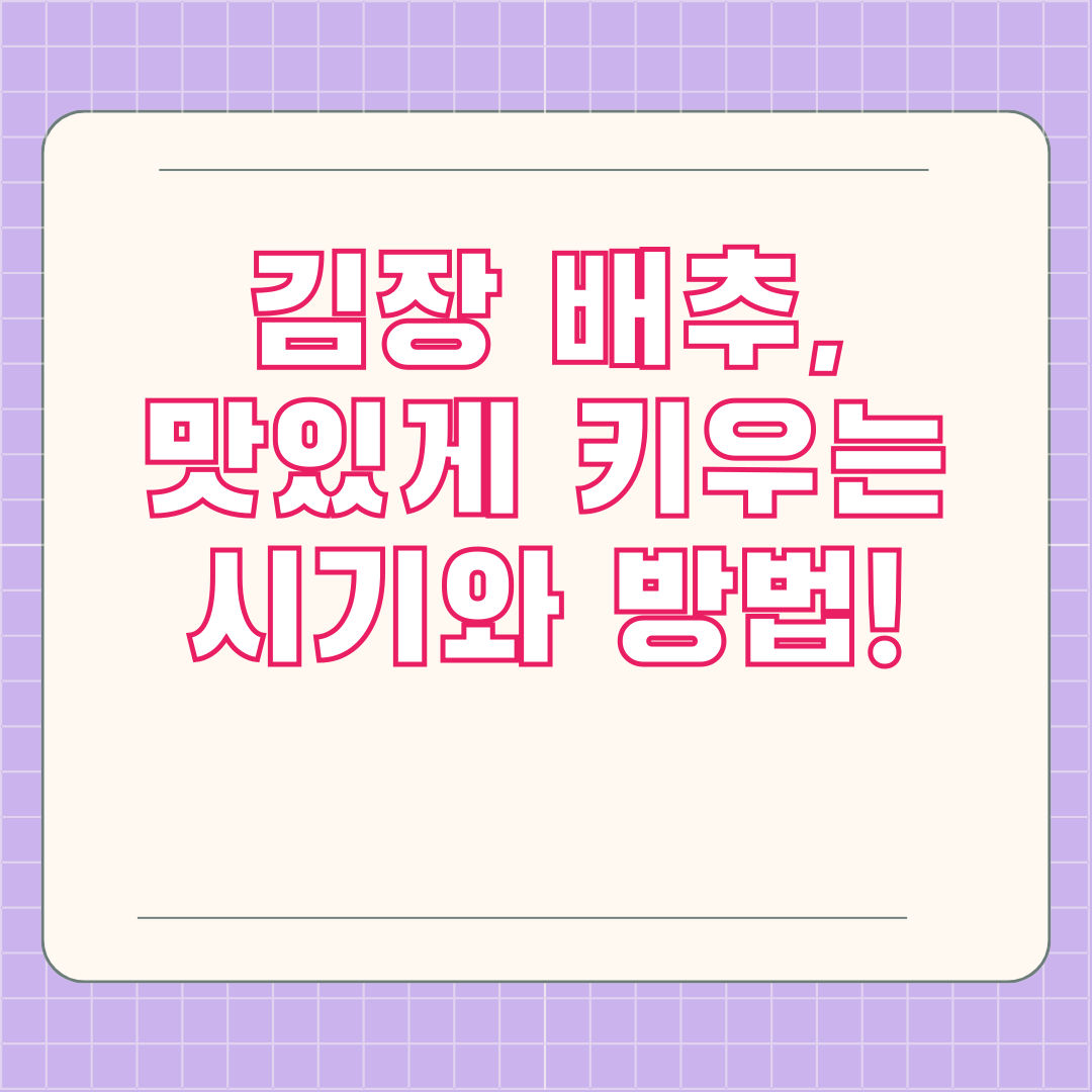 김장 배추, 맛있게 키우는 시기와 방법!