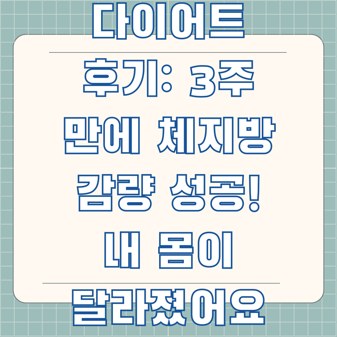 스위치온 다이어트 후기: 3주 만에 체지방 감량 성공! 내 몸이 달라졌어요