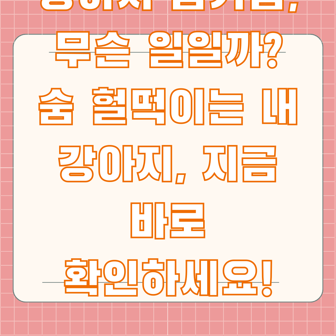 강아지 숨가쁨, 무슨 일일까? 숨 헐떡이는 내 강아지, 지금 바로 확인하세요!